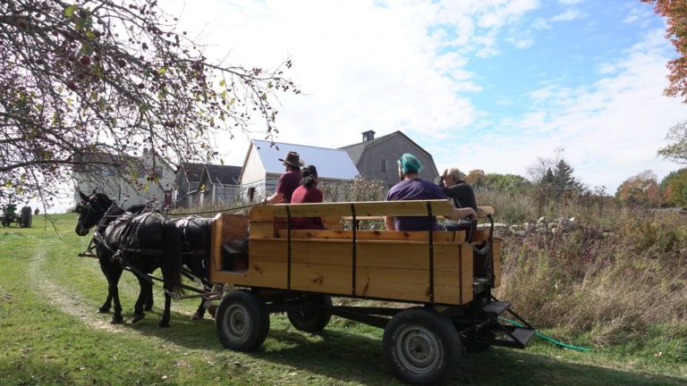 Saturday, October 21, 10AM-3PM, Free Members Day at Newfield